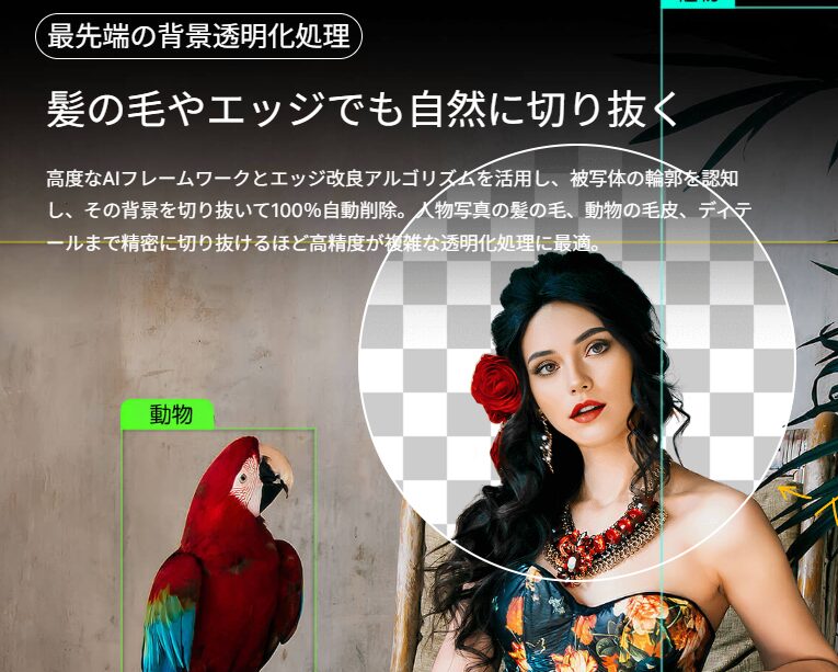 背景透過された女性